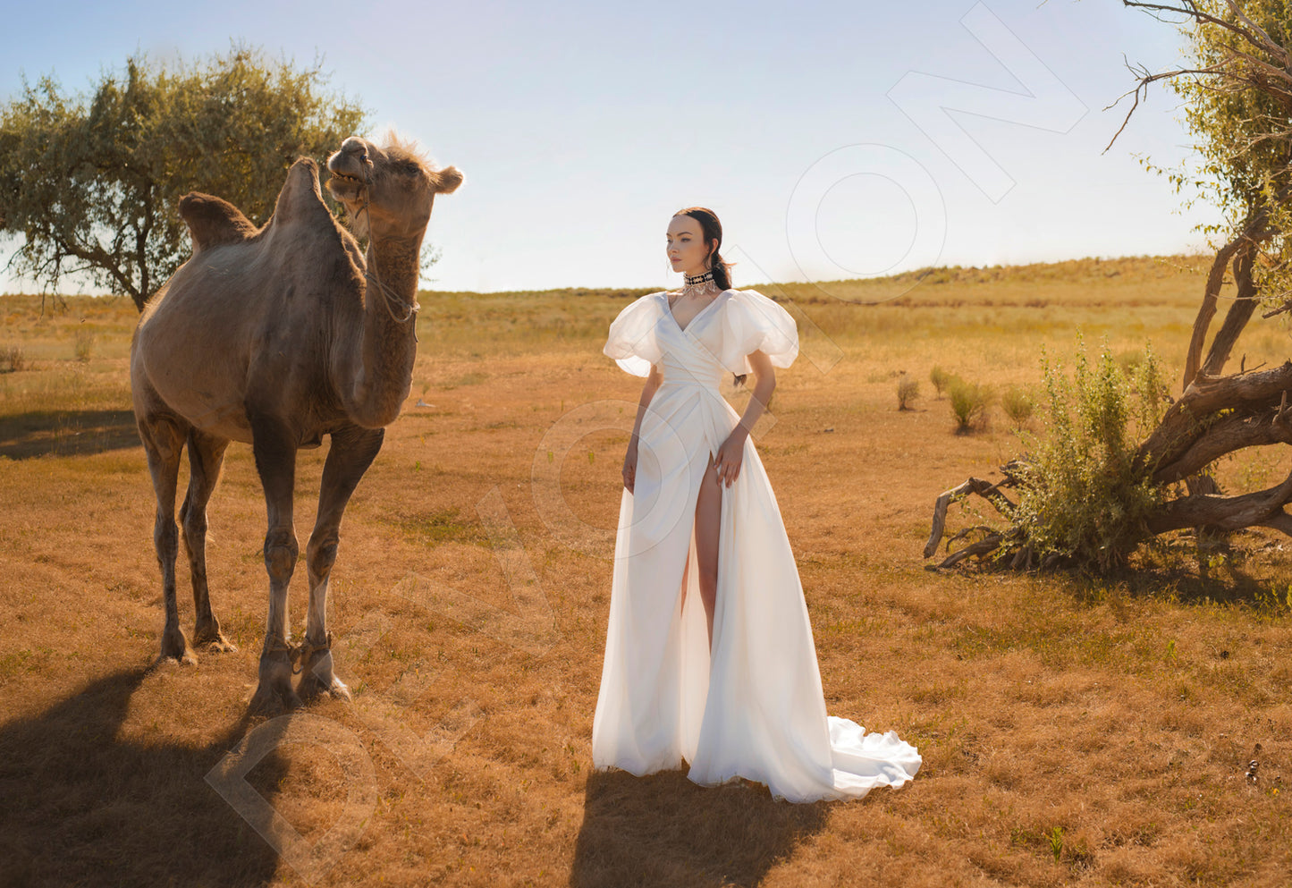 Marilow A-line V-neck Off White Wedding dress