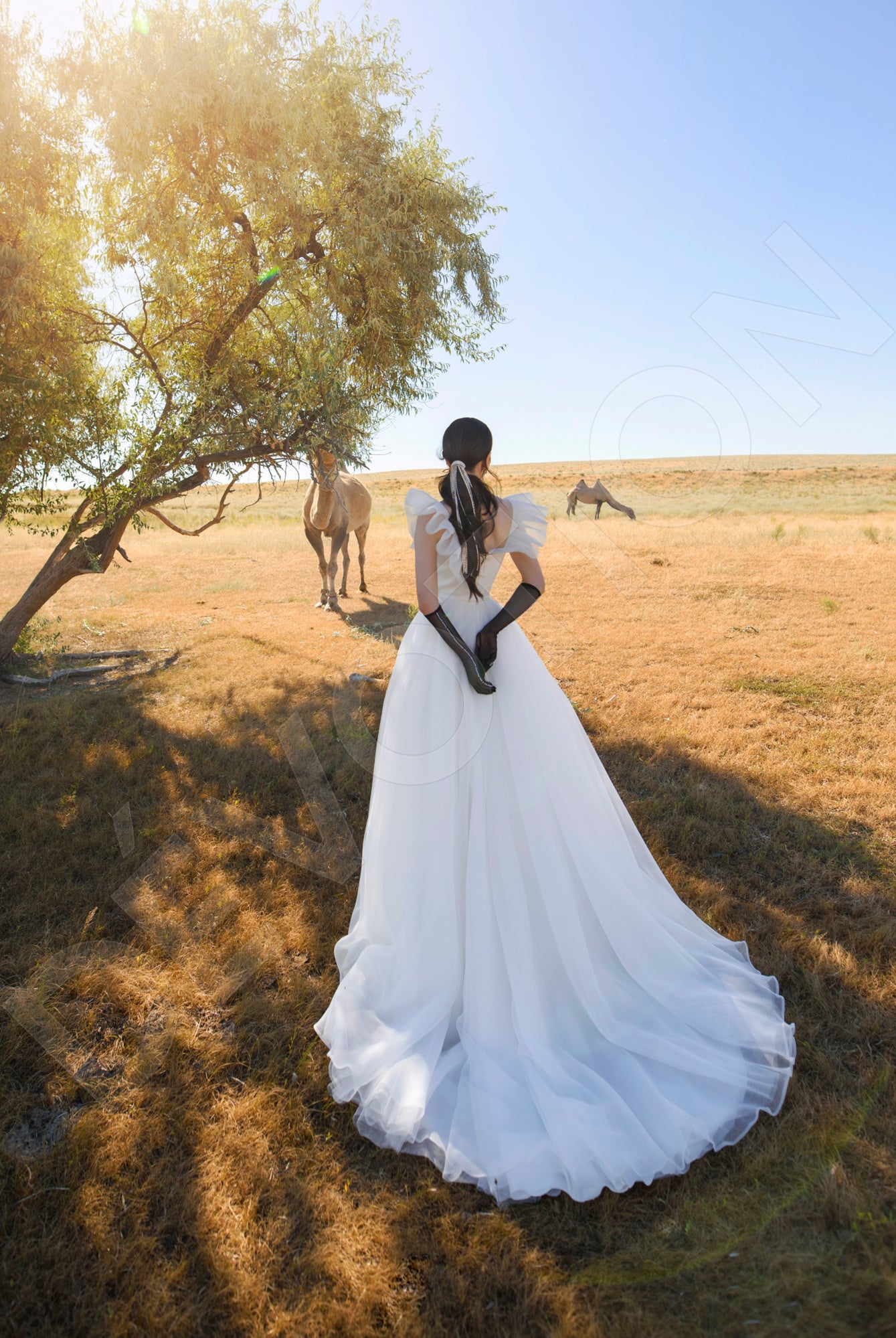 Shelzy A line Straight Across Off White Wedding dress