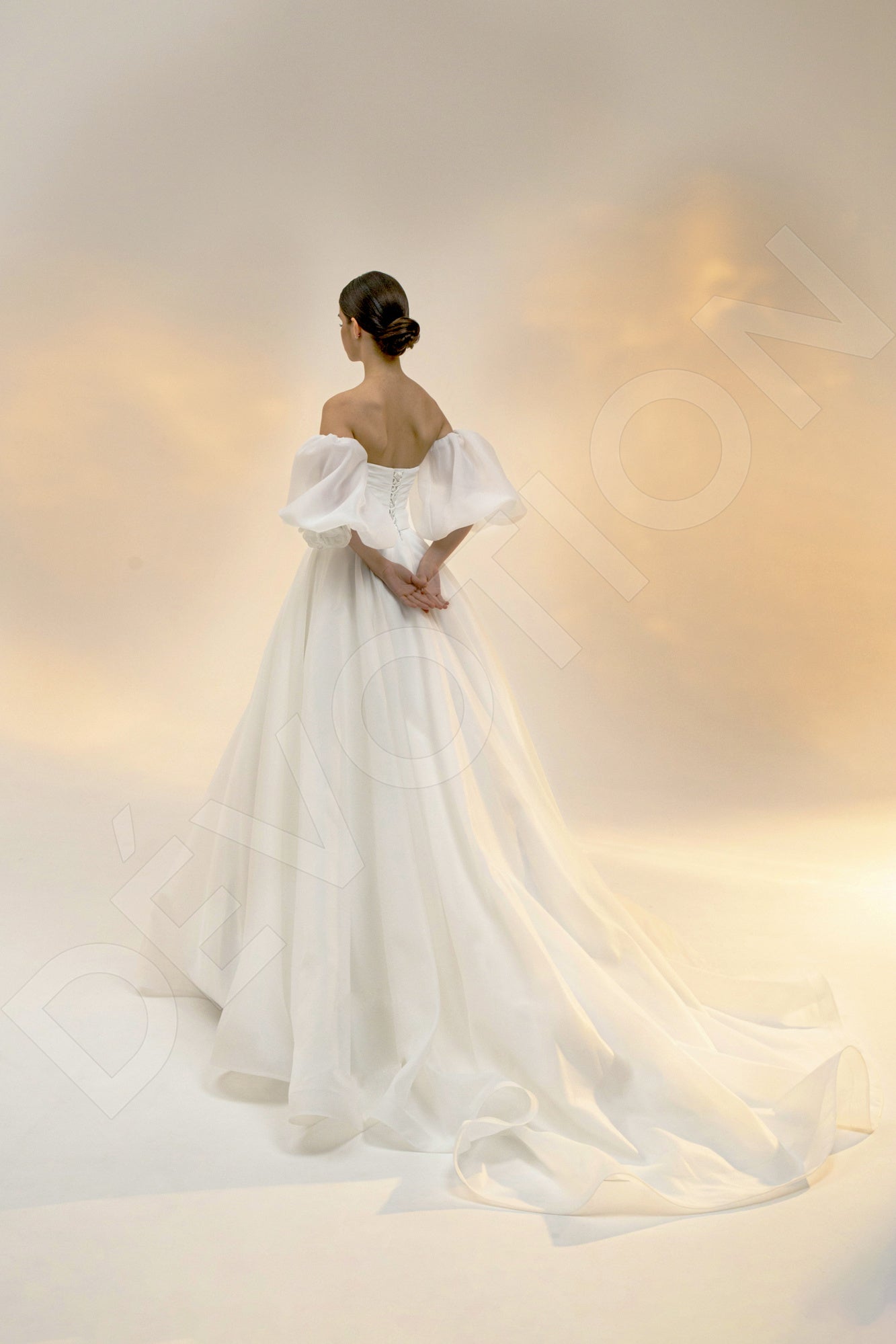 Ariala Princess/Ball Gown Straight Across Light Ivory Wedding dress