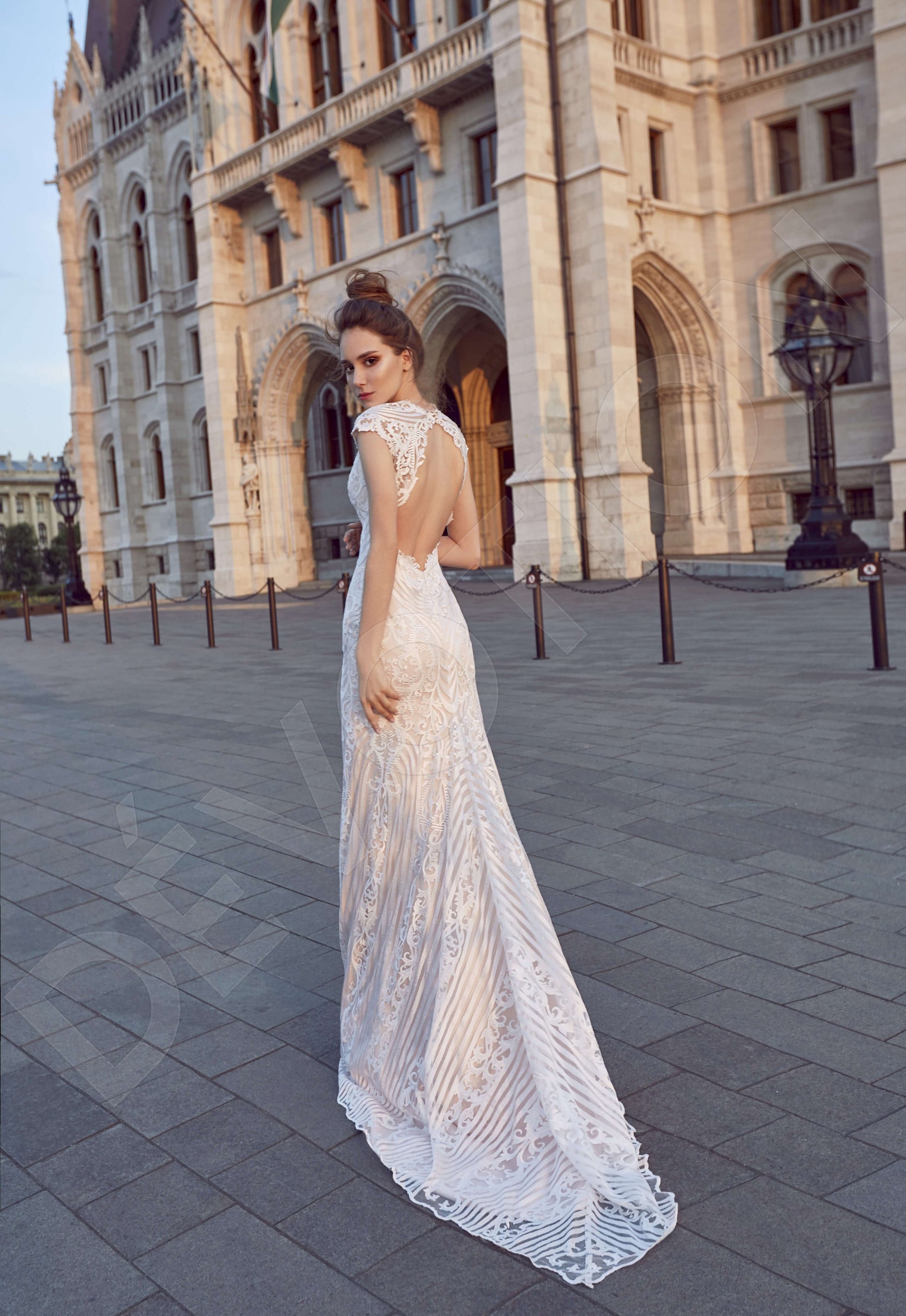 Ilmina Trumpet/Mermaid Illusion Milk Powder Wedding dress