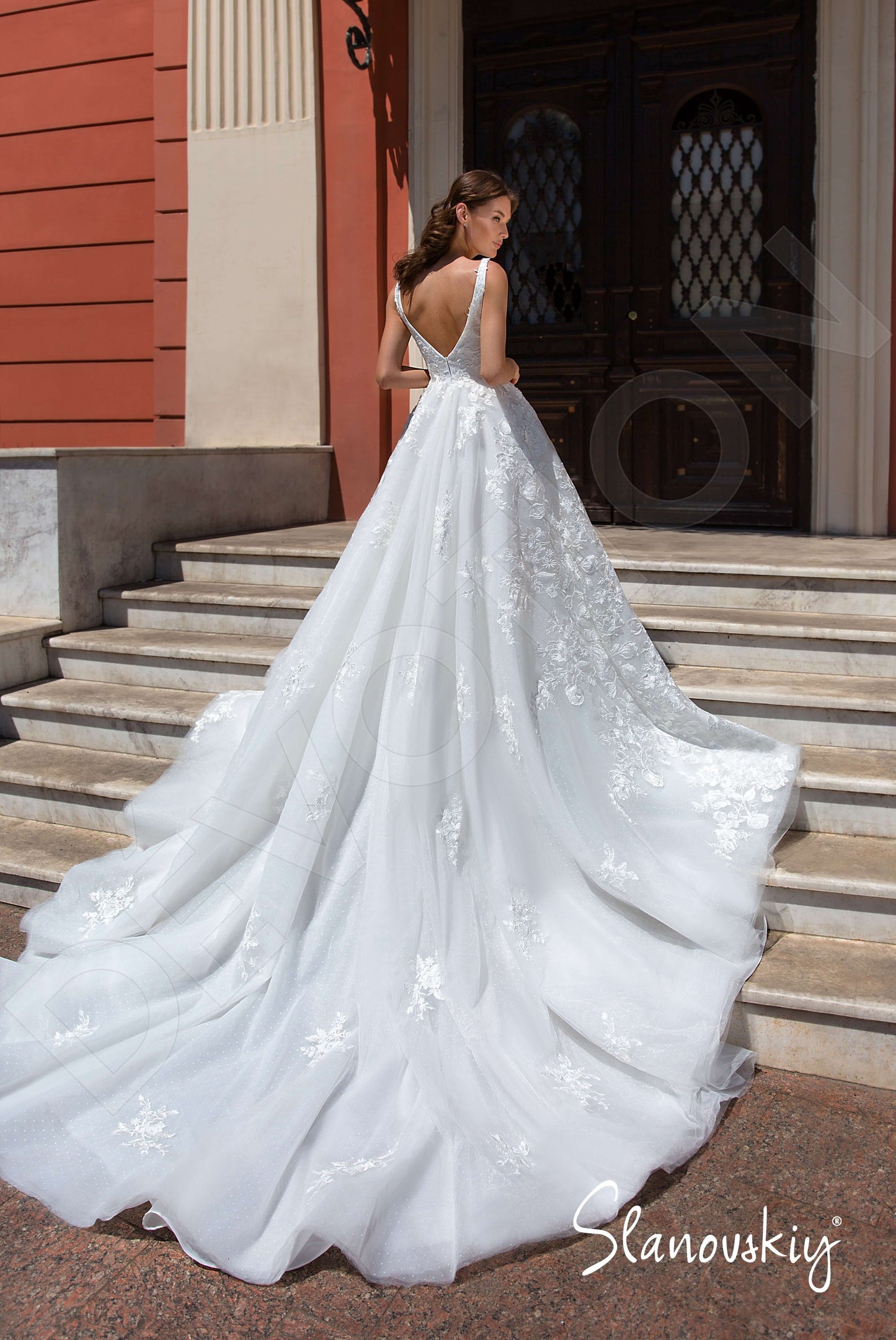 Sonate Open back Princess/Ball Gown Sleeveless Wedding Dress Back