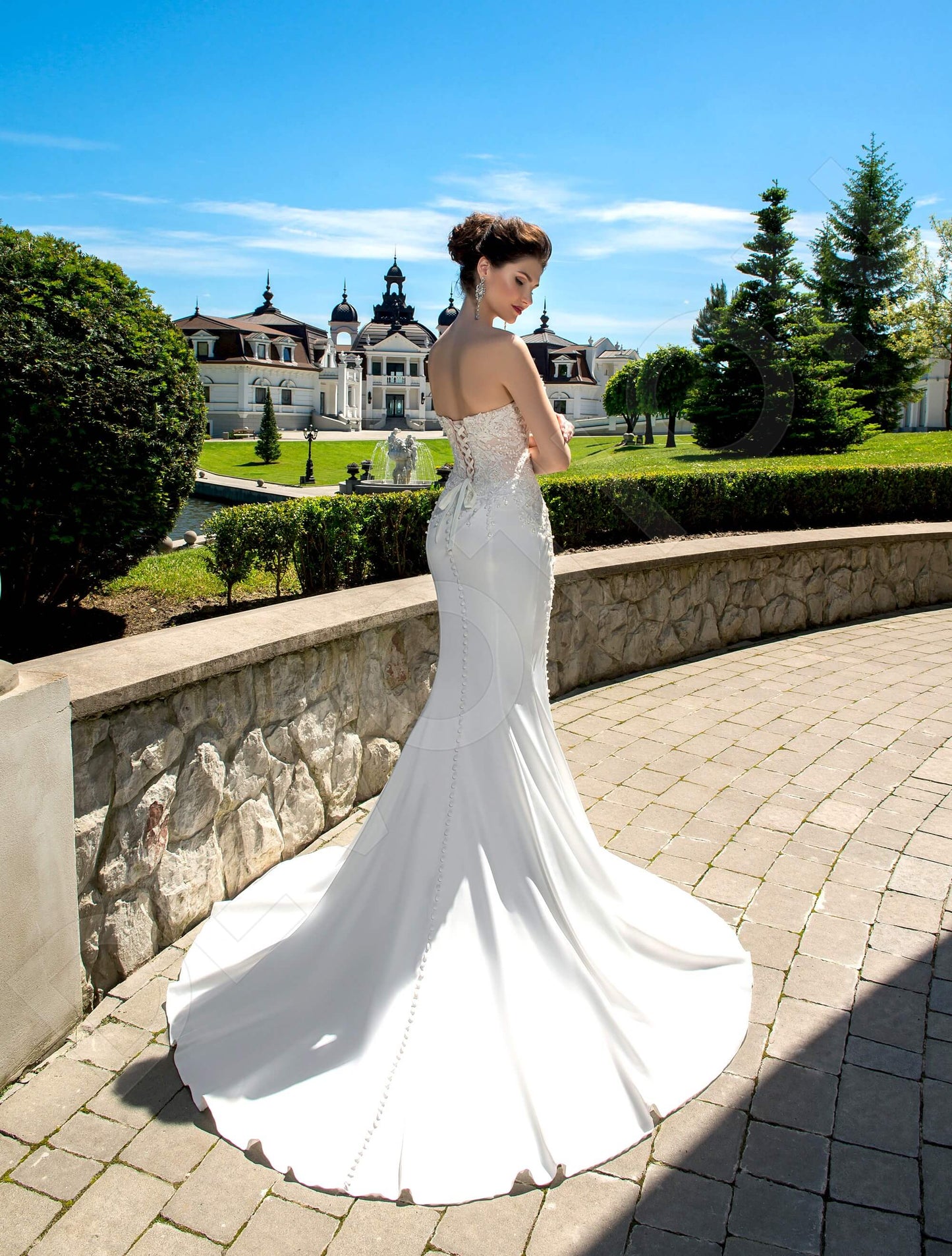 Luizella Open back Trumpet/Mermaid Strapless Wedding Dress Back