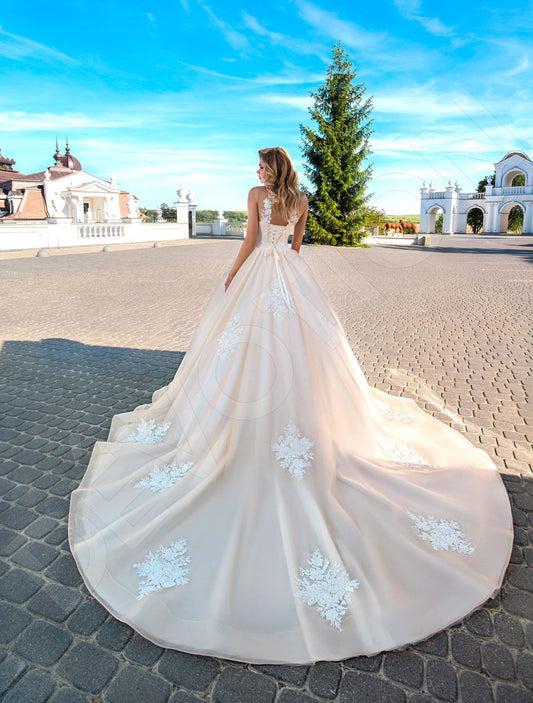 Annelisa Princess/Ball Gown Illusion Milk Cappuccino Wedding dress