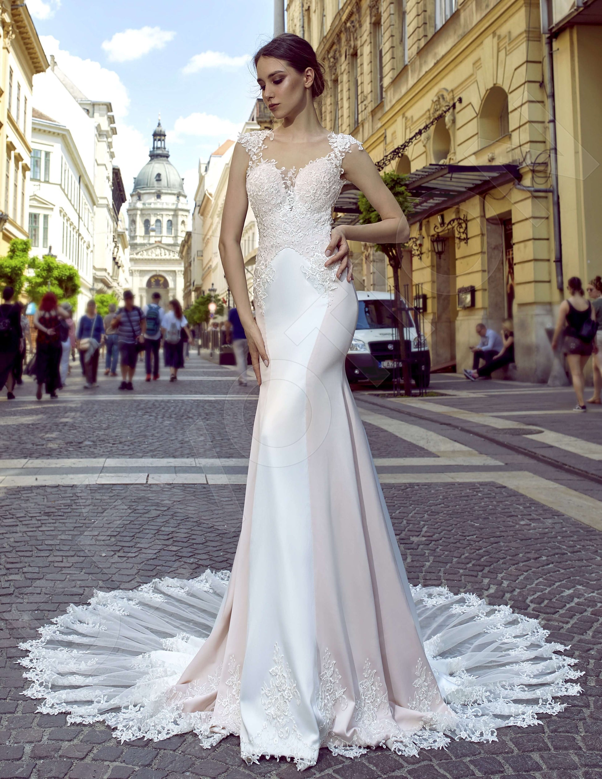 Lilien Trumpet/Mermaid Illusion Milk PowderPink Wedding dress