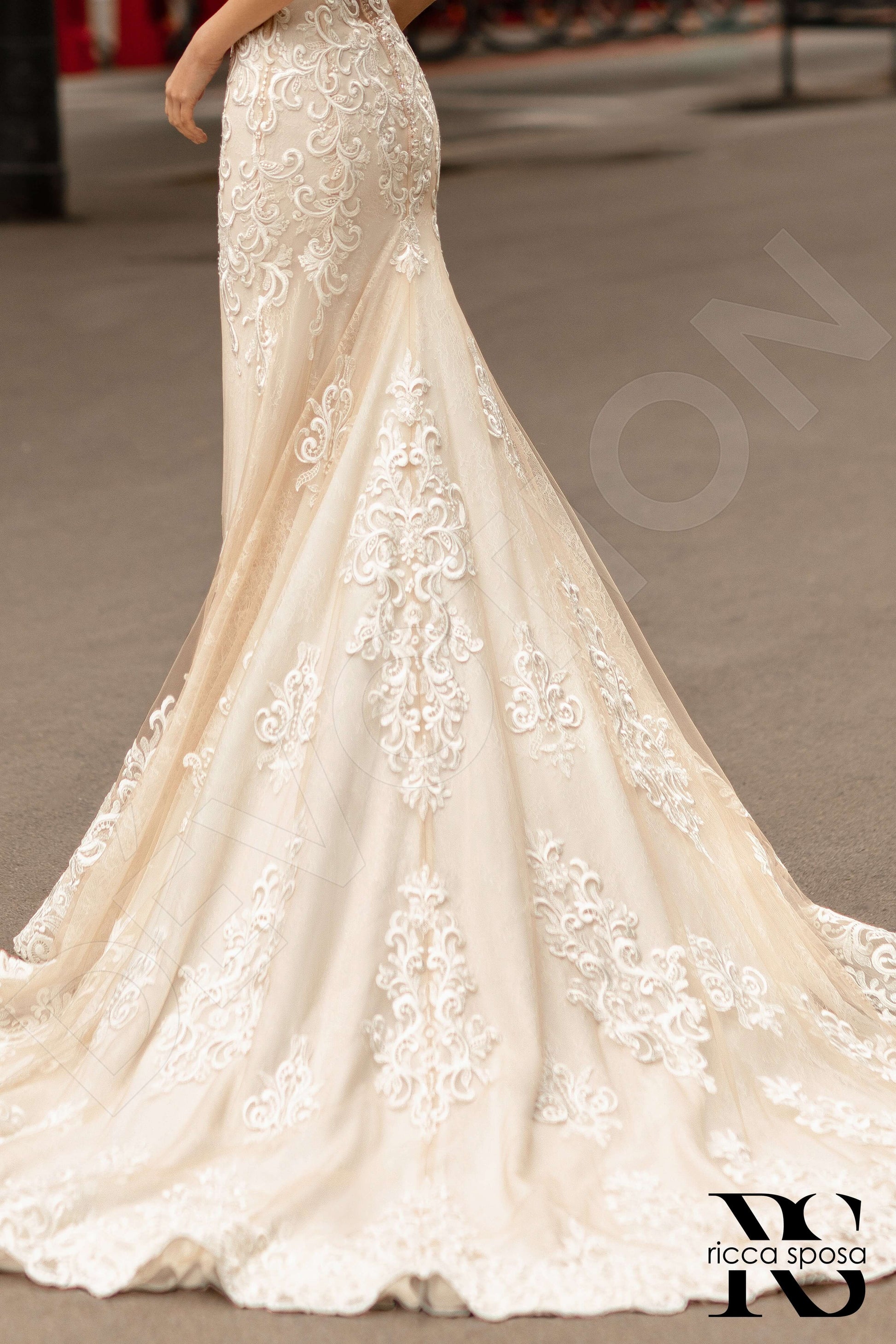 Lyle Trumpet/Mermaid Illusion Milk Nude Wedding dress