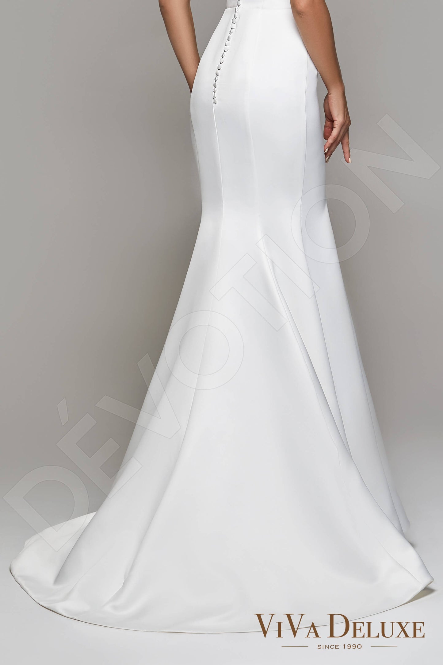 Demie Open back Trumpet/Mermaid Sleeveless Wedding Dress 7