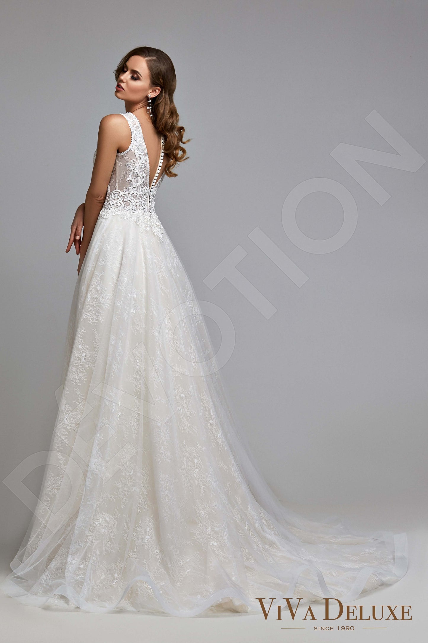 Dotty Illusion back A-line Sleeveless Wedding Dress Back